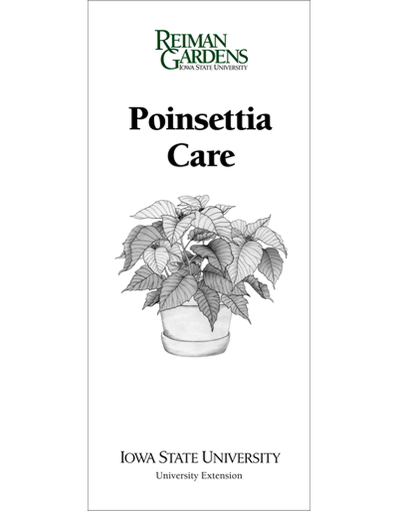 Poinsettia Care -- Reiman Gardens image number 0