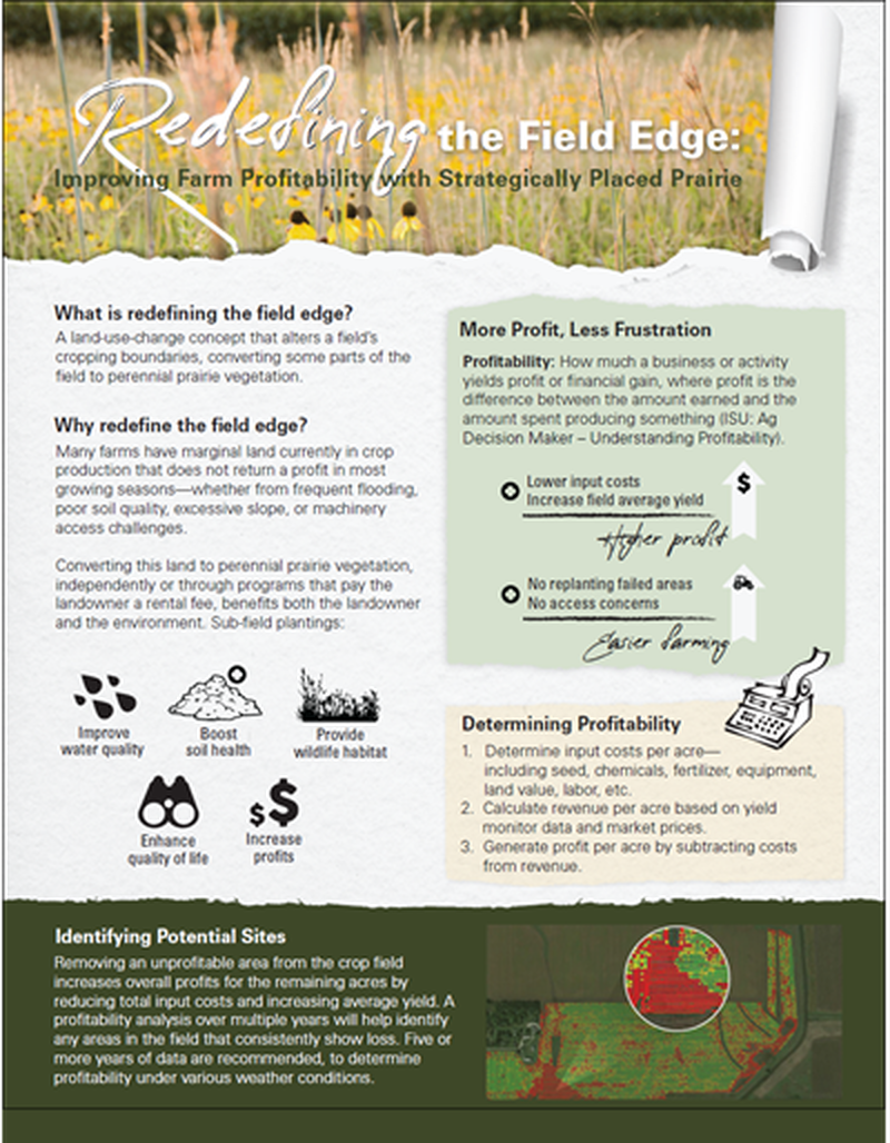 Redefining the Field Edge: Improving Farm Profitability with Strategically Placed Prairie image number 0