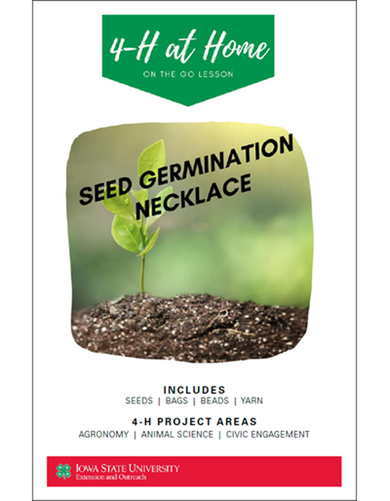 Seed Germination Necklace -- On the Go Lesson image number 0