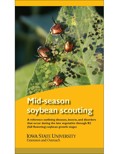 Mid-season Soybean Scouting