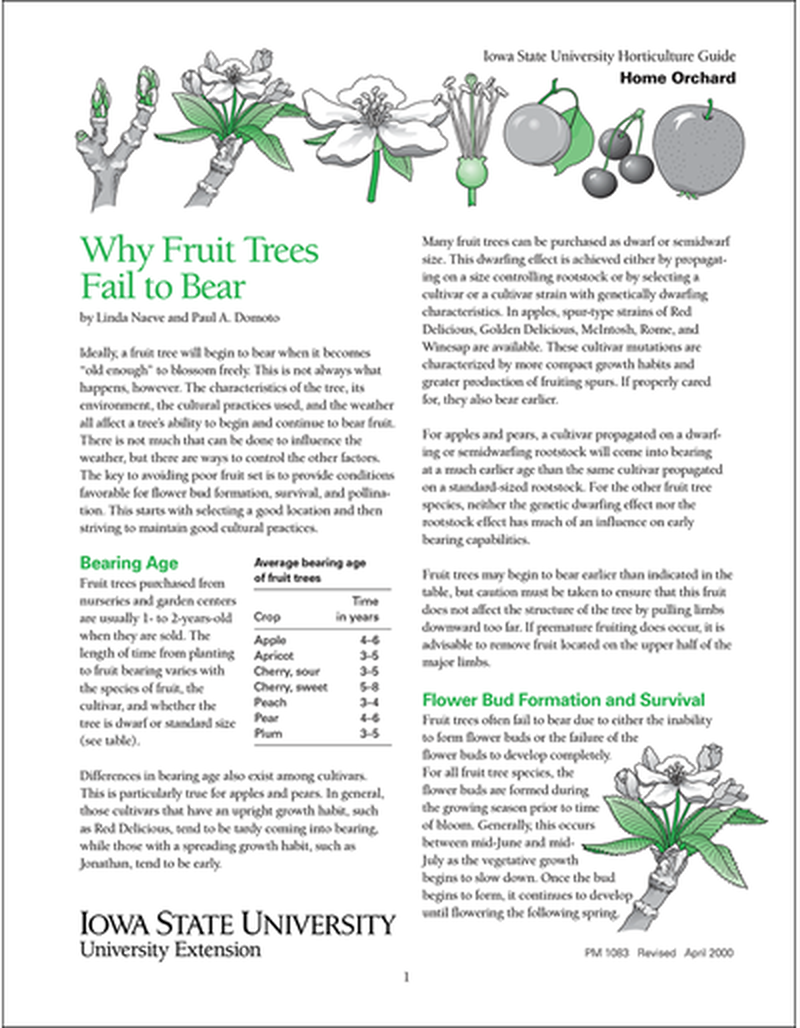 Why Fruit Trees Fail to Bear image number 0