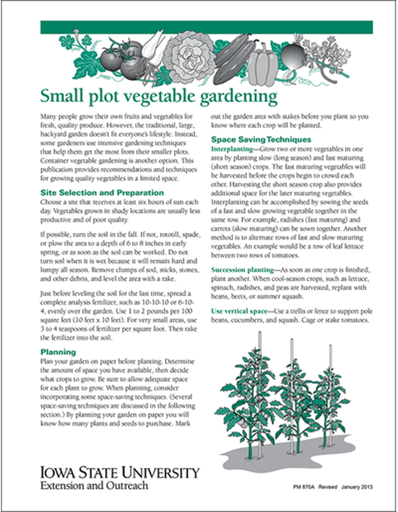 Small Plot Vegetable Gardening image number 0