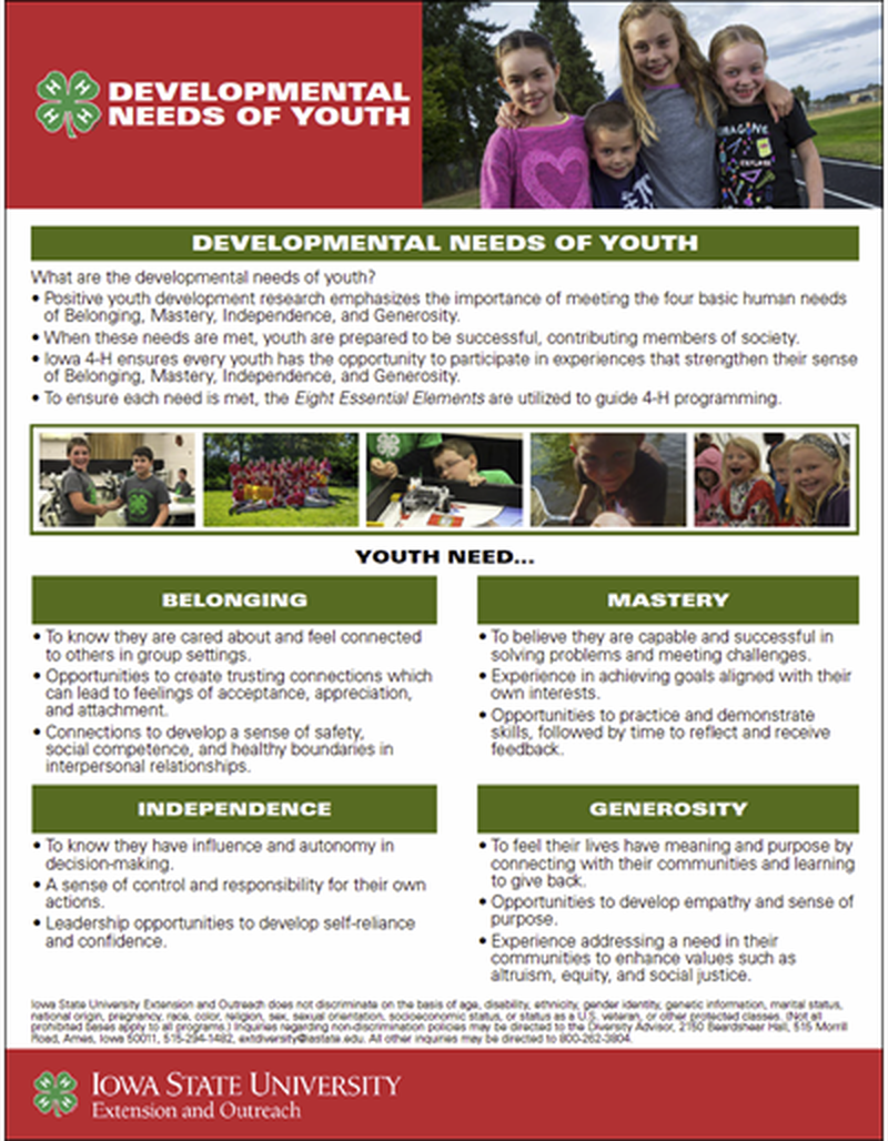 Developmental Needs of Youth image number 0