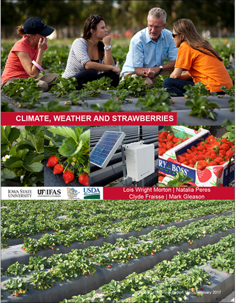 Climate, Weather and Strawberries image number 0