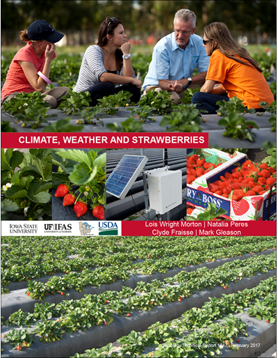 Climate, Weather and Strawberries