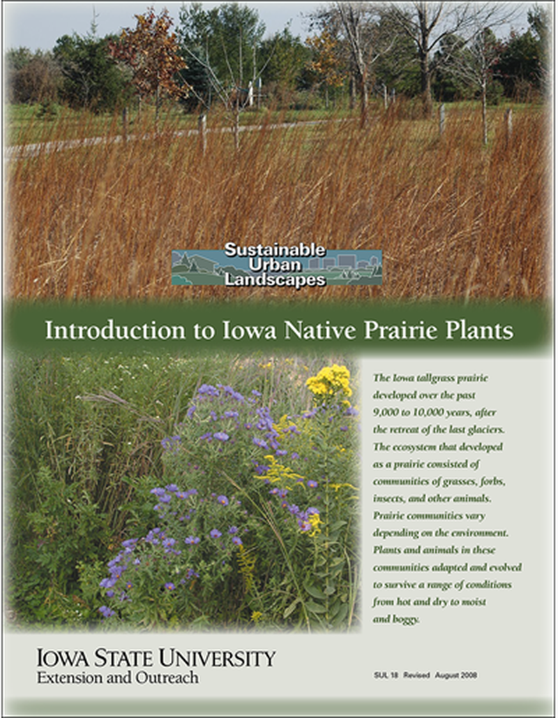 Introduction to Iowa Native Prairie Plants -- Sustainable Urban Landscapes image number 0