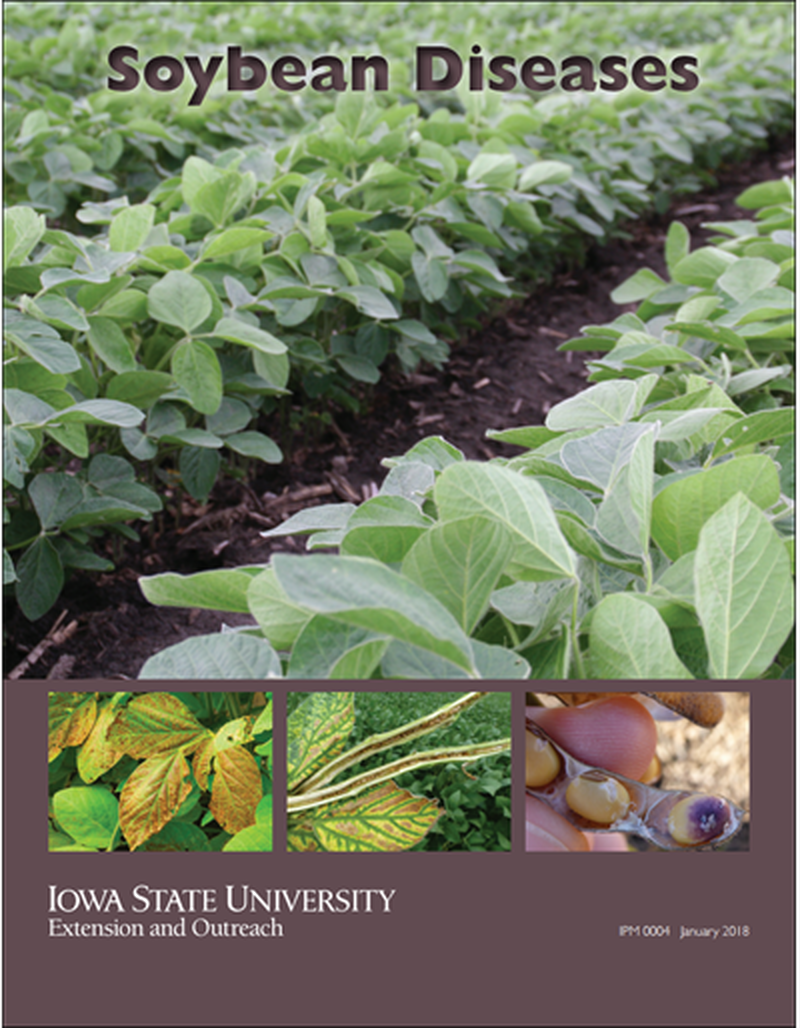 Soybean Diseases image number 0