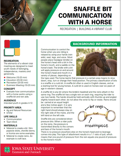 Snaffle Bit Communication with a Horse -- Vibrant Club Activity