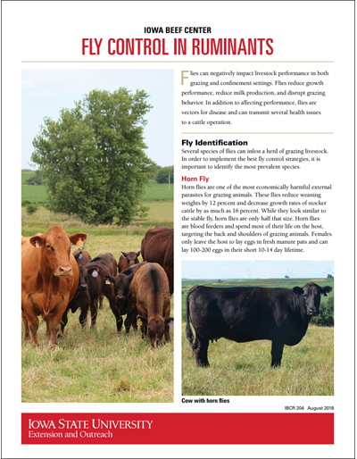 Fly Control in Ruminants