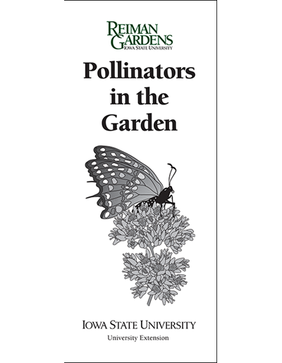 Pollinators in the Garden -- Reiman Gardens
