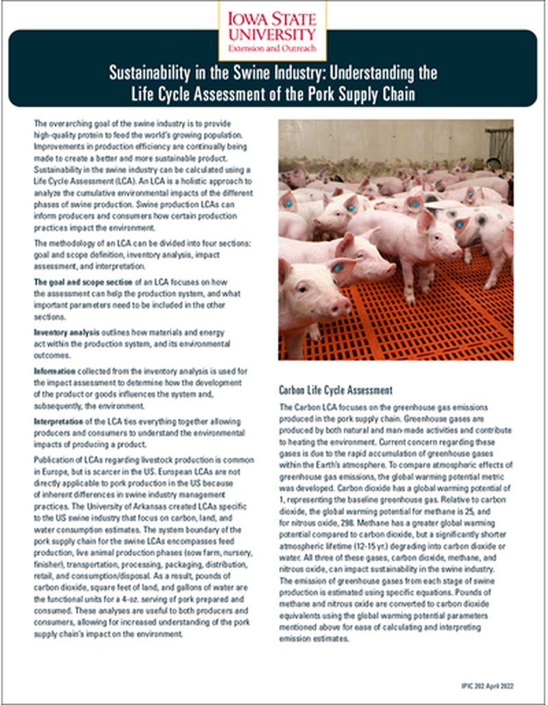 Sustainability in the Swine Industry: Understanding the Life Cycle Assessment of the Pork Supply Chain image number 0