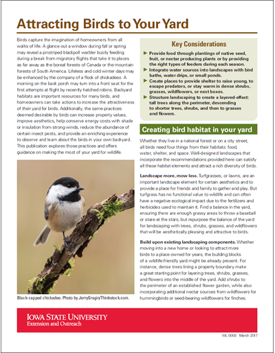 Attracting Birds to Your Yard