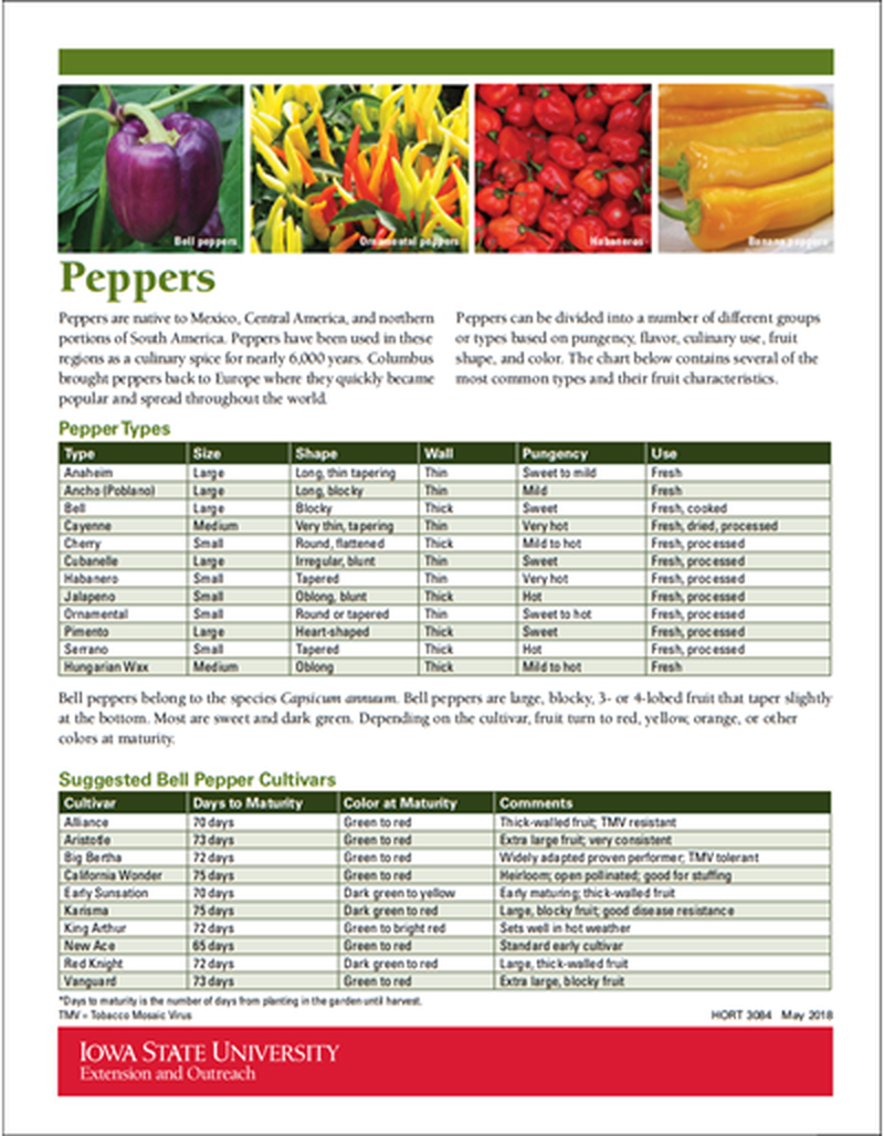 Peppers image number 0