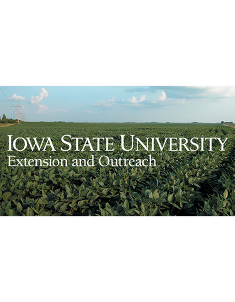 Green soybean field image number 0