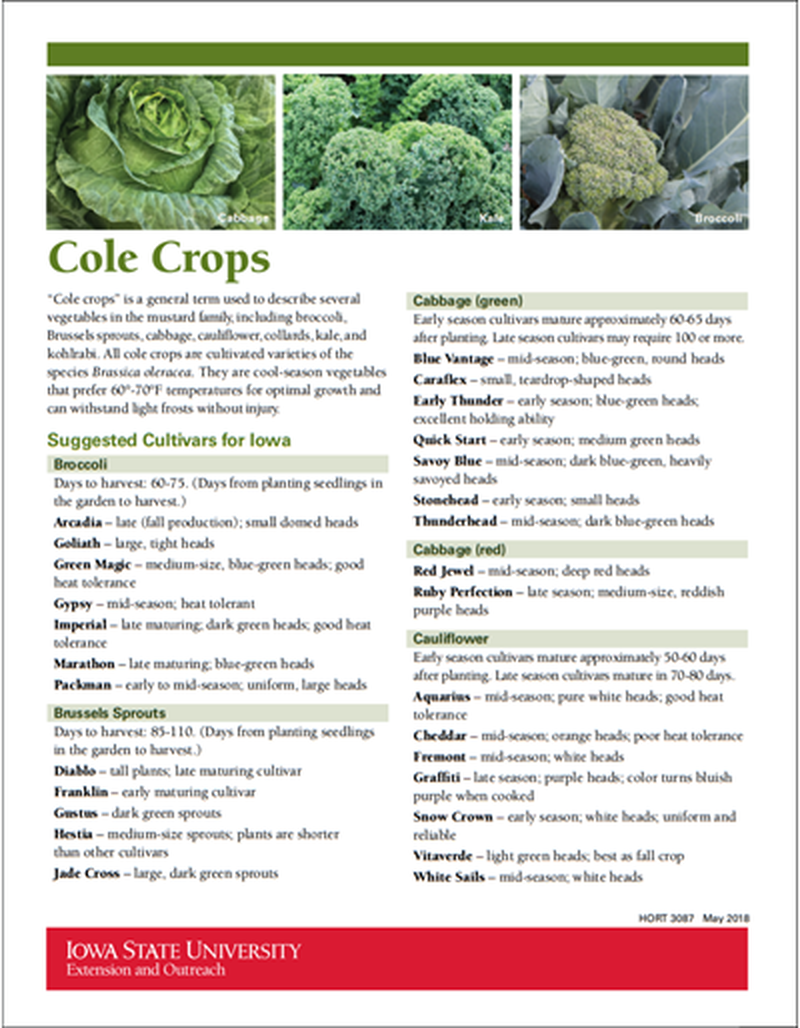 Cole Crops image number 0