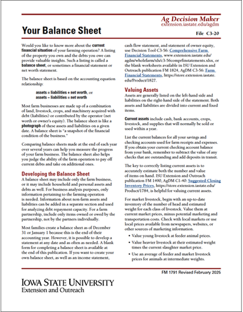Your Balance Sheet image number 0