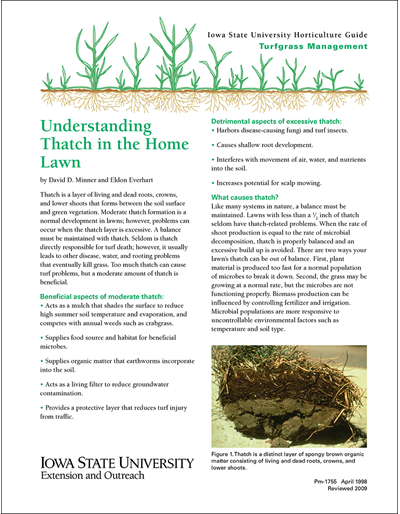 Understanding Thatch in the Home Lawn