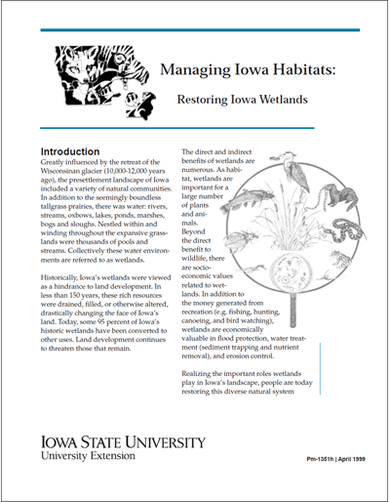 Restoring Iowa Wetlands - Managing Iowa Habitats image number 1