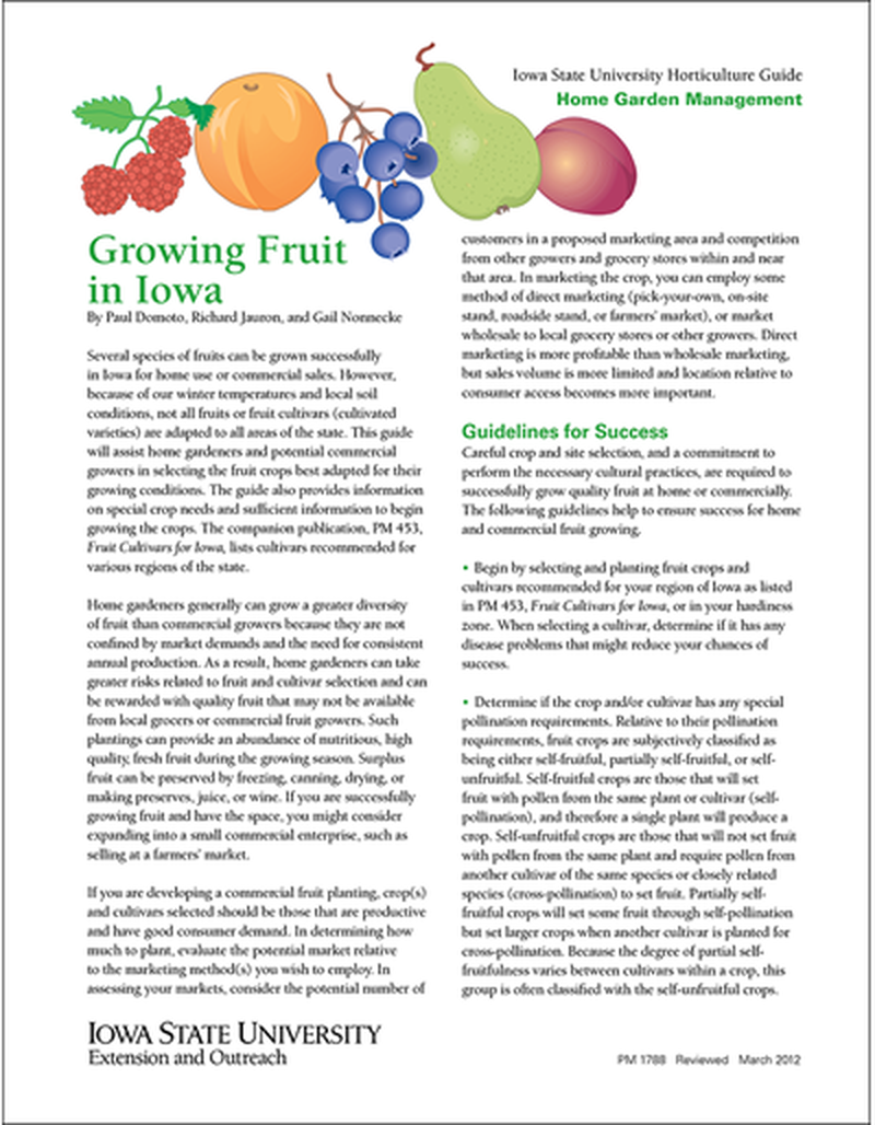 Growing Fruit in Iowa image number 0
