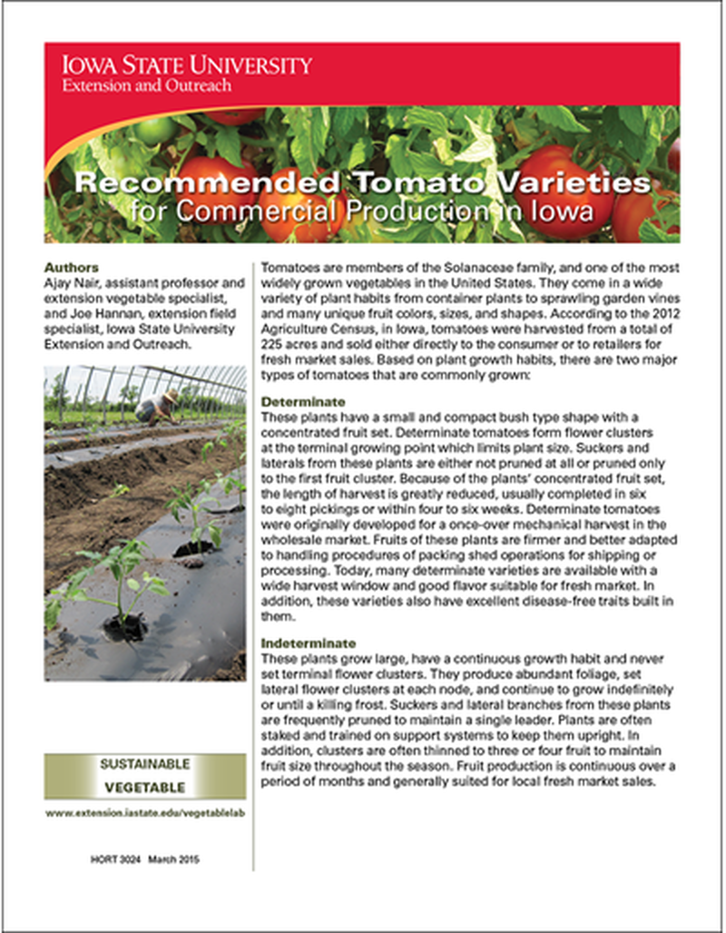Recommended Tomato Varieties for Commercial Production in Iowa image number 0