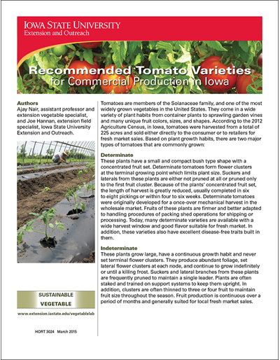 Recommended Tomato Varieties for Commercial Production in Iowa