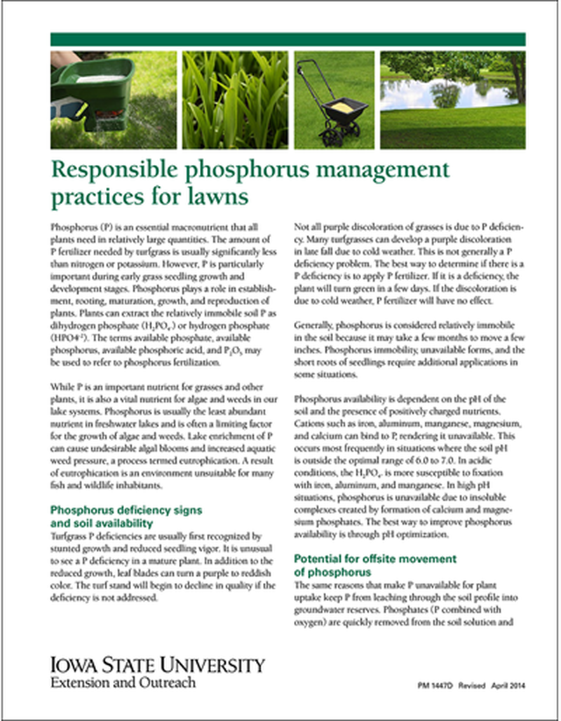 Responsible Phosphorus Management Practices for Lawns image number 0