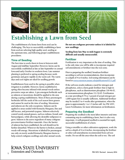 Establishing a Lawn from Seed