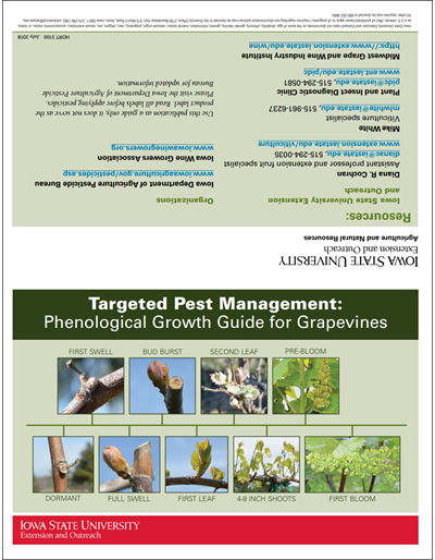 Targeted Pest Management: Phenological Growth Guide for Grapevines