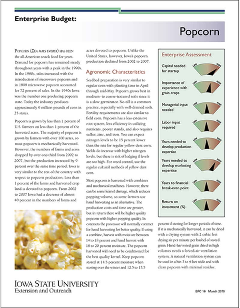 Enterprise Budget: Popcorn image number 0
