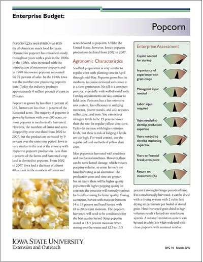 Enterprise Budget: Popcorn
