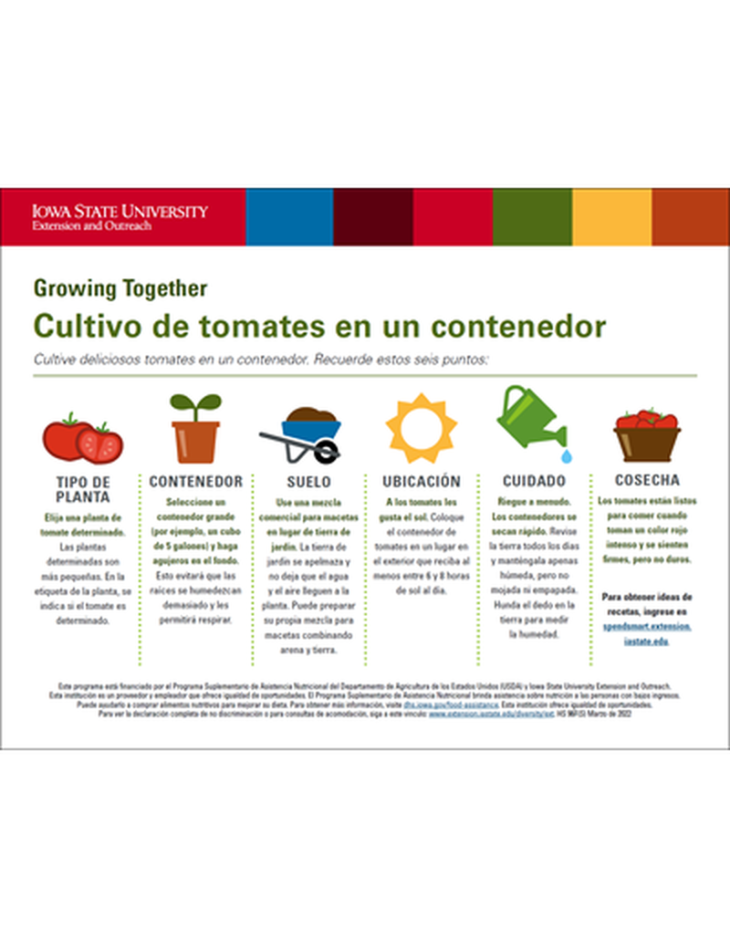 Growing Tomatoes in a Container image number 3