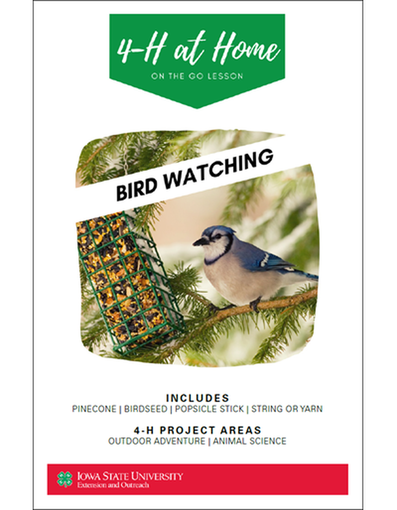 Bird Watching -- On the Go Lesson image number 0