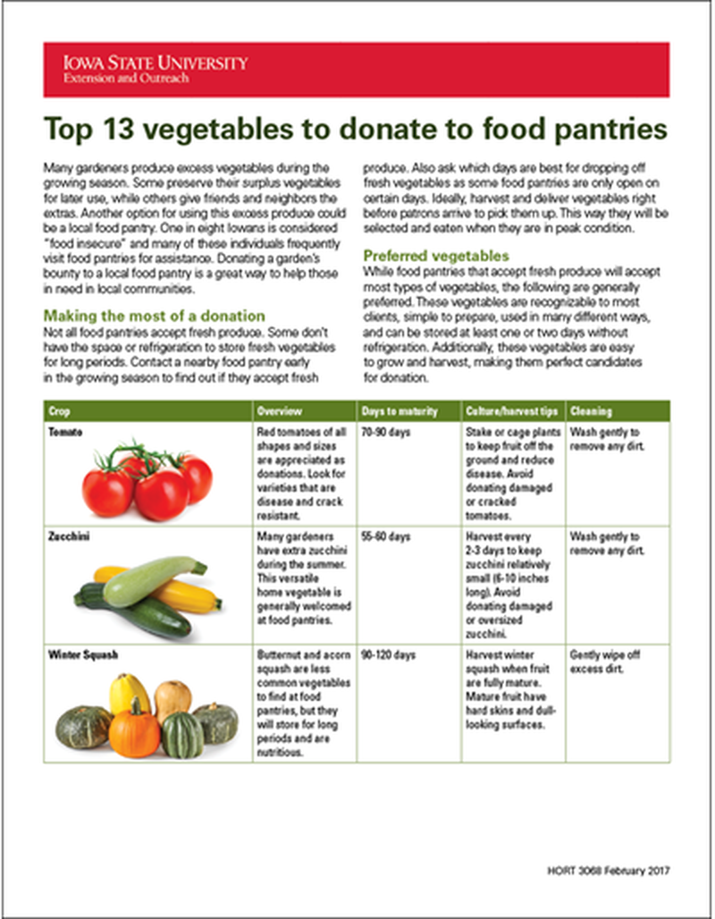 Top 13 vegetables to donate to food pantries image number 0