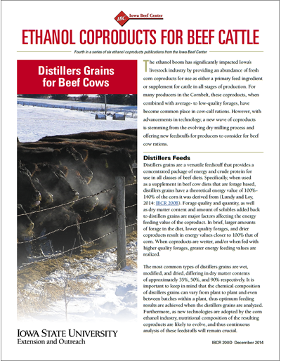 Ethanol Coproducts for Beef Cattle - Distillers Grains for Beef Cows