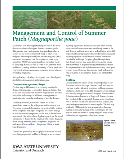 Management and Control of Summer Patch (Magnaporthe poae)
