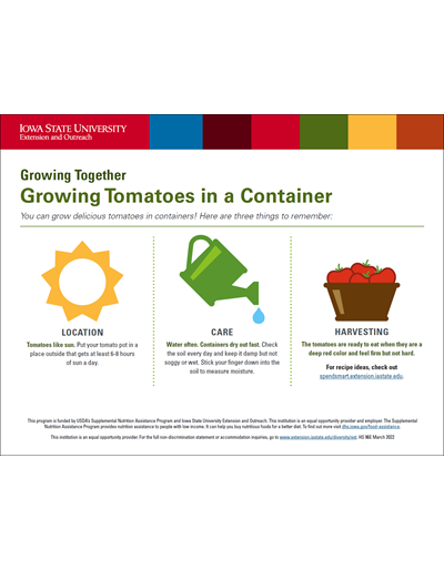 Growing Tomatoes in a Container