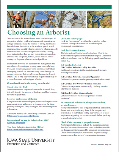 Choosing an Arborist