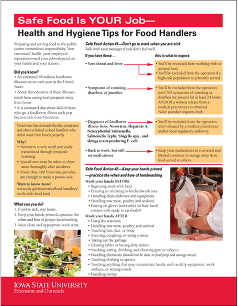 Safe Food Is YOUR Job - Health and Hygiene Tips for Food Handlers image number 0