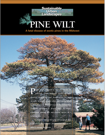 Pine Wilt: A Fatal Disease of Exotic Pines in the Midwest -- Sustainable Urban Landscapes