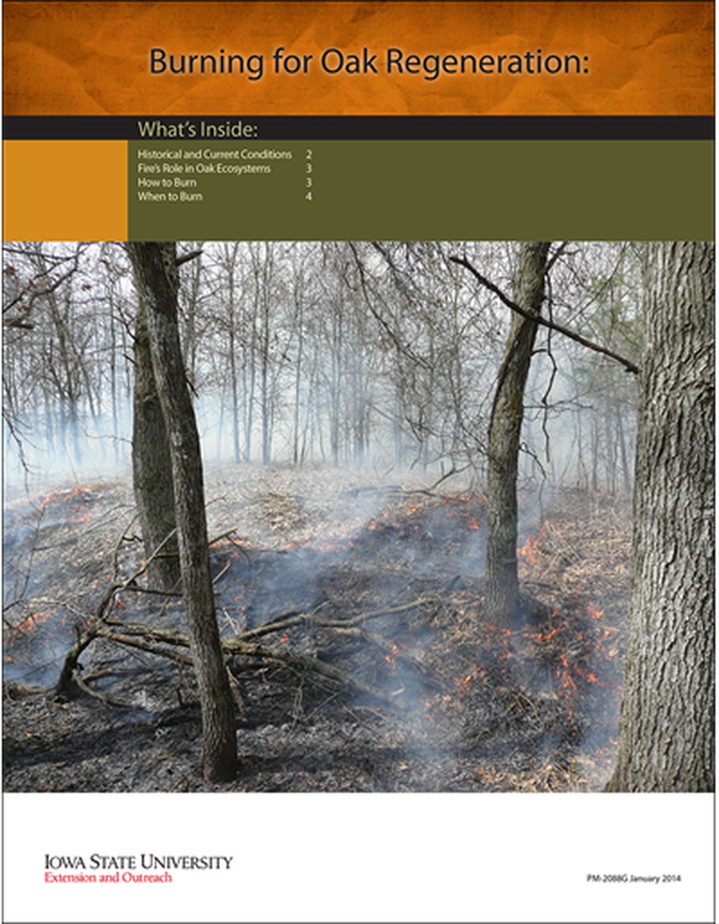 Burning for Oak Regeneration image number 0