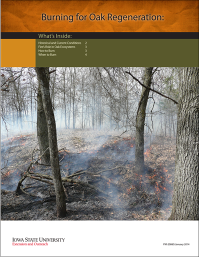 Burning for Oak Regeneration
