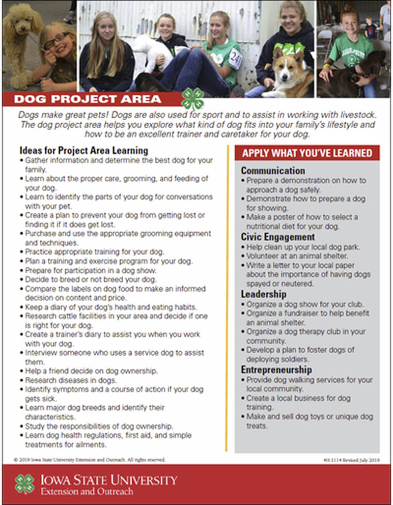Dog Project Area Guide image number 0