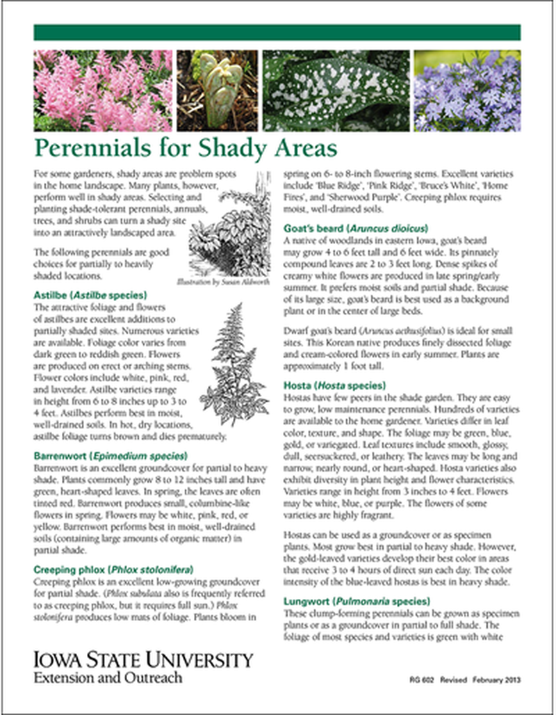 Perennials for Shady Areas image number 0