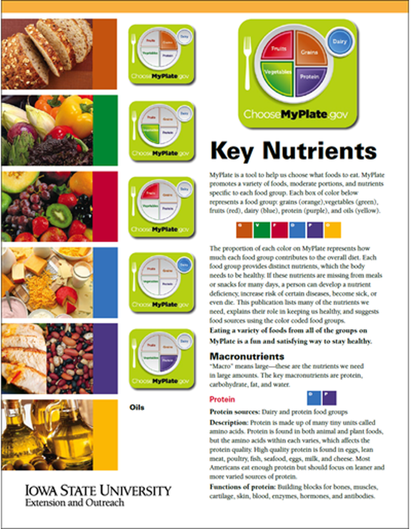 Key Nutrients image number 0