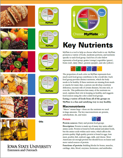 Key Nutrients
