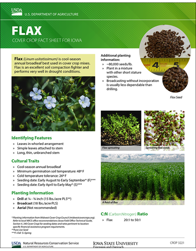Flax: Cover Crop Fact Sheet for Iowa