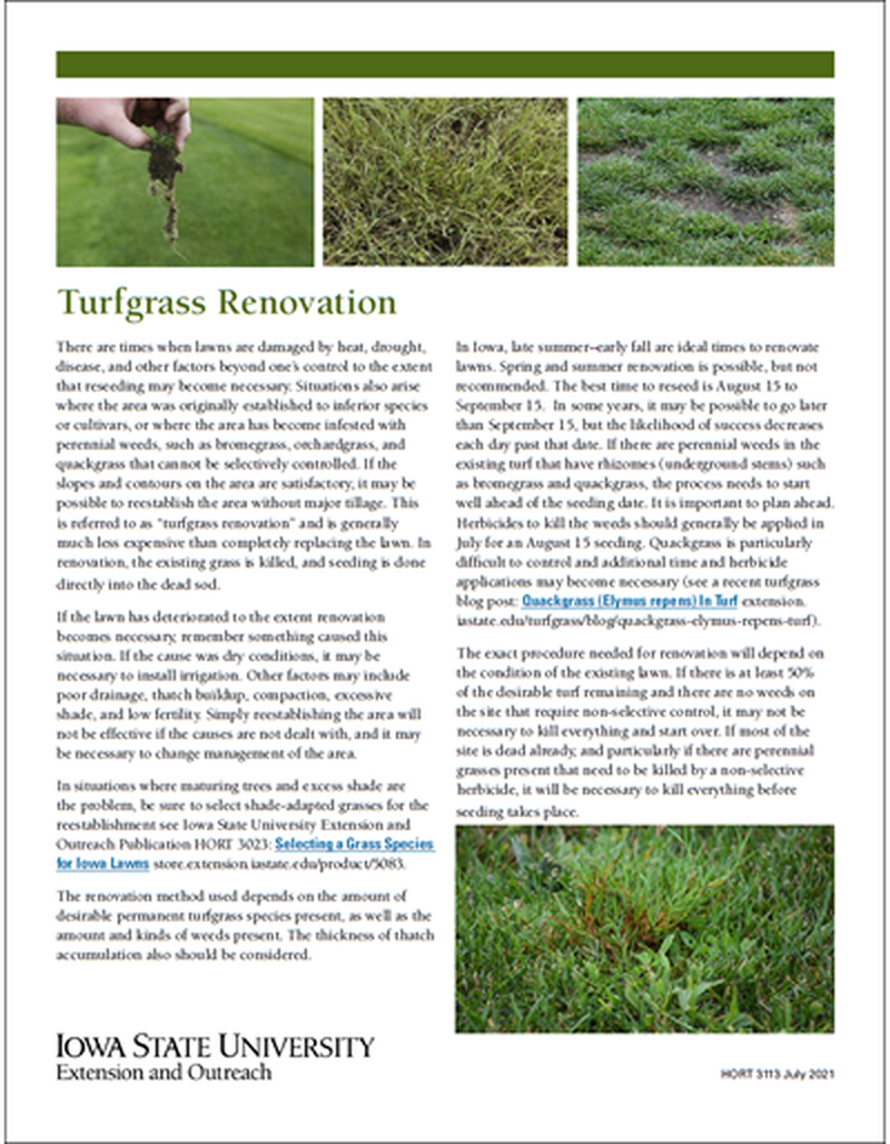 Turfgrass Renovation image number 0