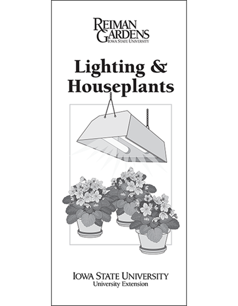 Lighting & Houseplants -- Reiman Gardens image number 0