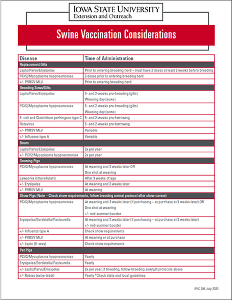 Swine Vaccination Considerations image number 0