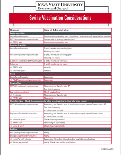 Swine Vaccination Considerations